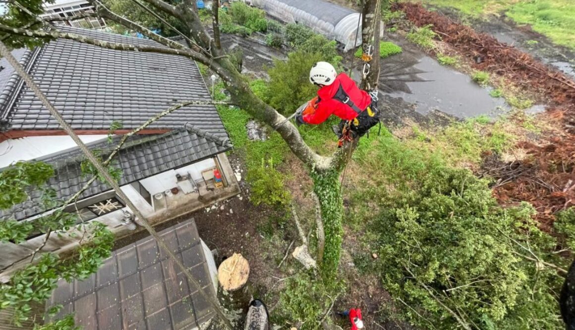 田代建築(藤木産業) 球磨郡_210817_13