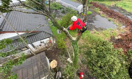 田代建築(藤木産業) 球磨郡_210817_13