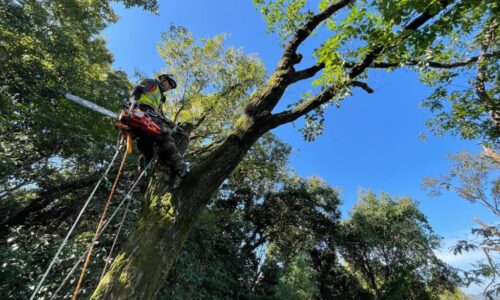 LINE_ALBUM_九州動物学院（株式会社竜之介）熊本市北区兎谷_211007_0
