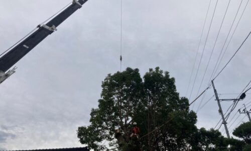 LINE_ALBUM_坂口邸 南区海路口町_211112_1