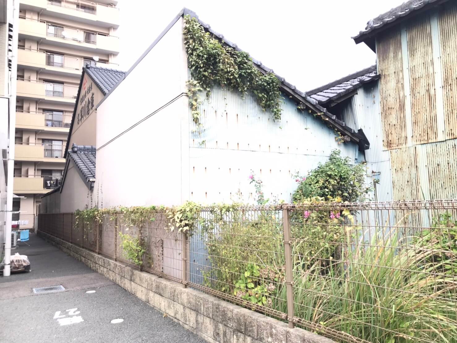 構造物を伝って成長したカズラ。