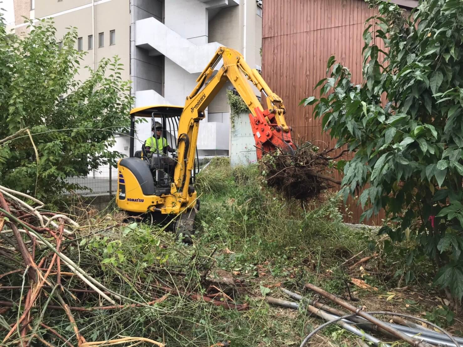 始めに重機で大きな根っこを抜いた後、手作業で小さな根っこまで逃さず抜いていきます。