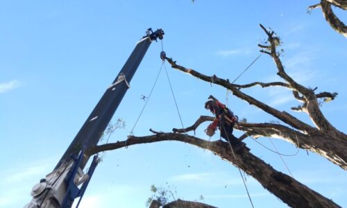 LINE_ALBUM_梅田邸中央区薬園町_211213_49