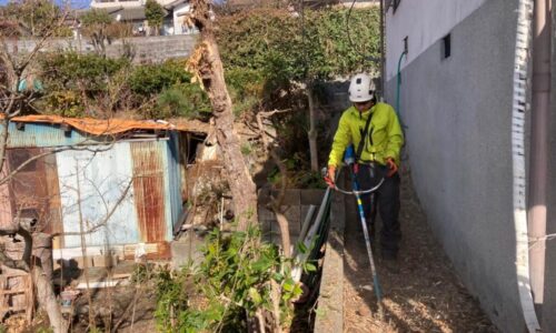 LINE_ALBUM_220119_12