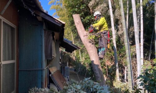 LINE_ALBUM_220321_11