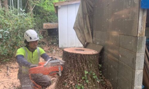 LINE_ALBUM_220416_16