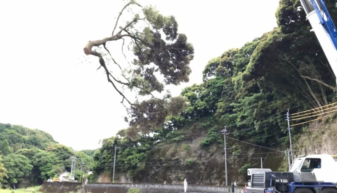 LINE_ALBUM_220521_5