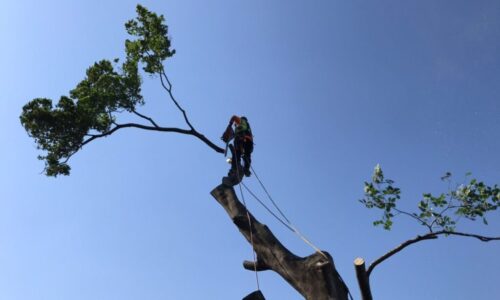 LINE_ALBUM_220522_9