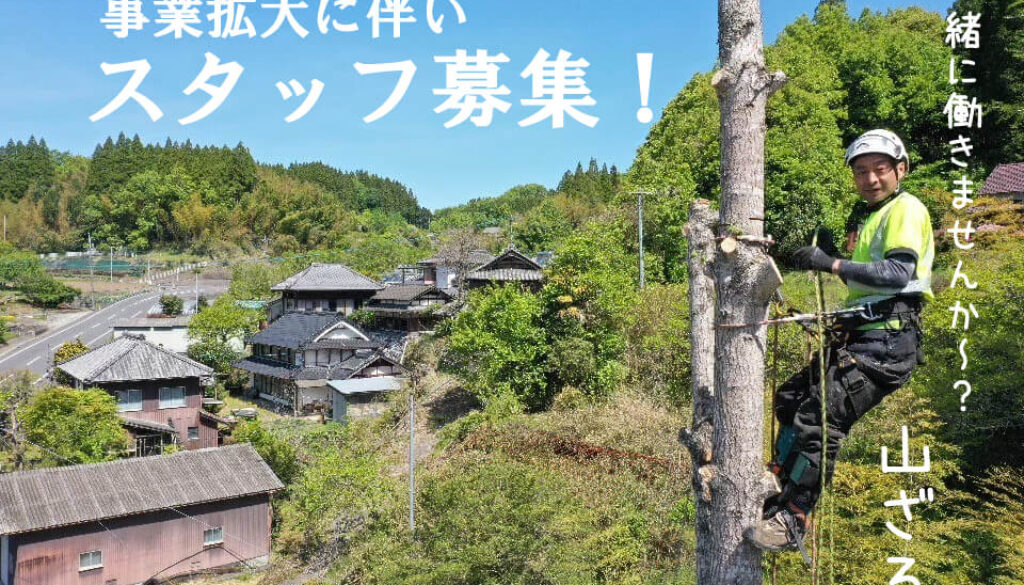 急募】特殊伐採 スタッフを募集します！ – 熊本で木の伐採・剪定・特殊 