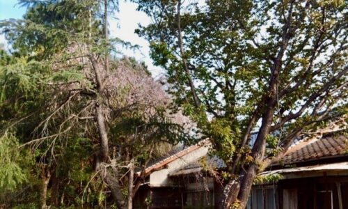 491433148_18296942317169122_3001941858056332686_n