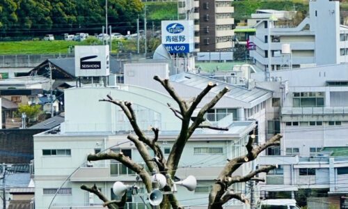 491441061_18296818012169122_7862904131507657740_n