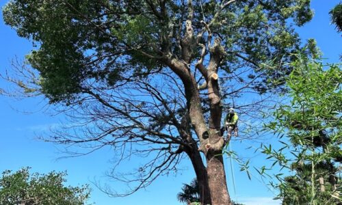 491441750_18297425686169122_3945863974956505563_n