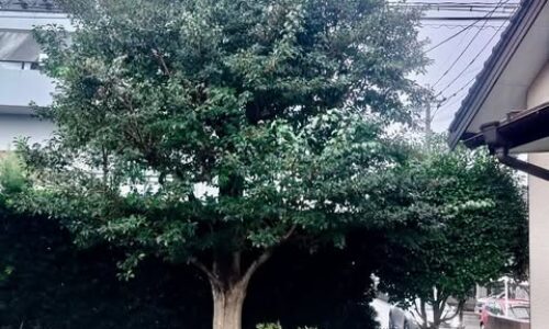 495872572_18298635166169122_395788629770731985_n