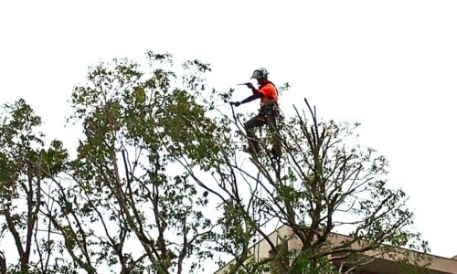 496077939_18298633792169122_4433342402913835514_n