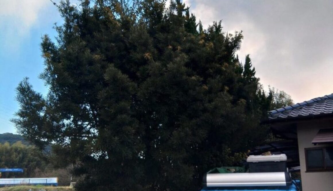 485061719_1111305024130407_8653912890139847310_n