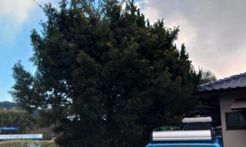 485061719_1111305024130407_8653912890139847310_n