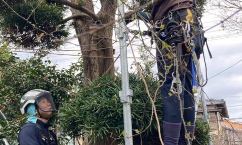 485721869_1113678173893092_630329209066596896_n