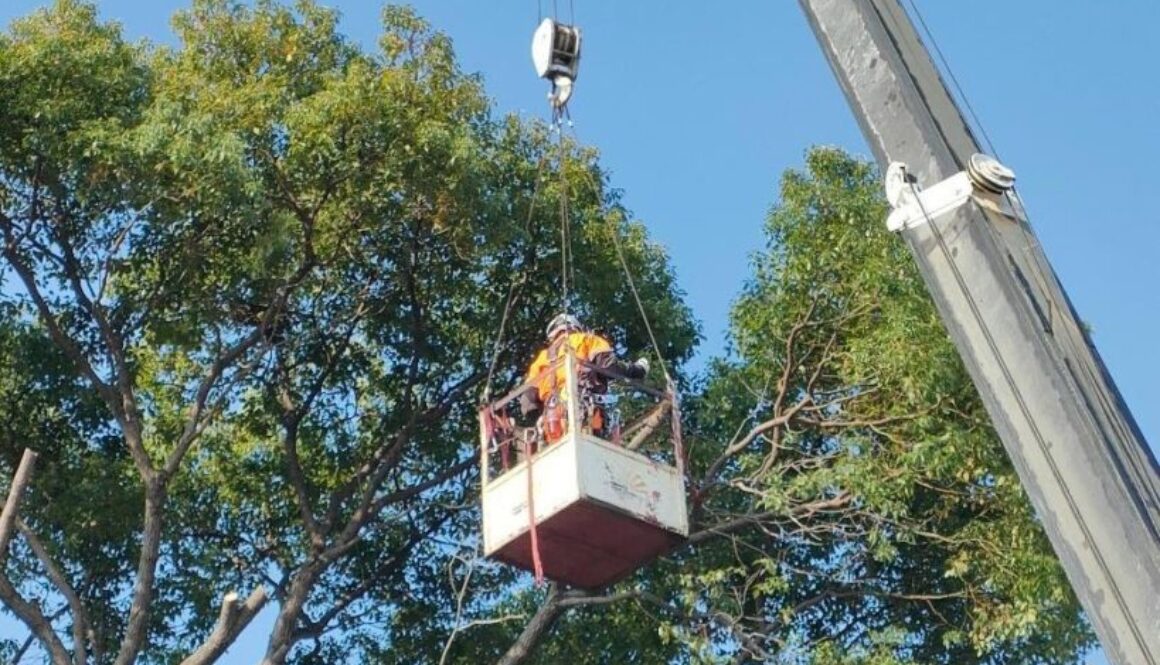 486176174_1112845743976335_4486478946256563140_n