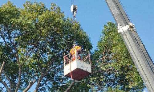 486176174_1112845743976335_4486478946256563140_n