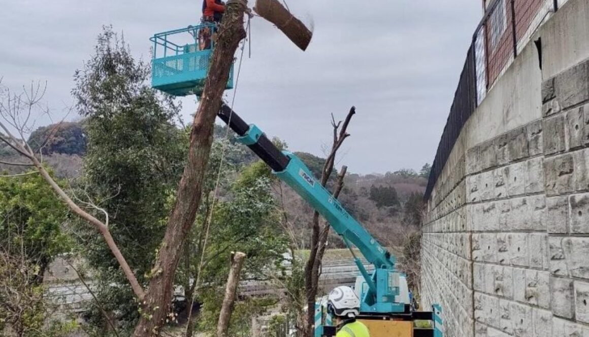 486757764_1114397603821149_2350829342517614284_n