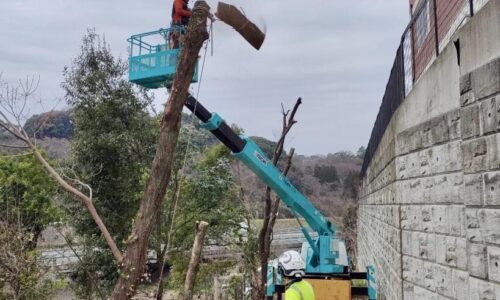 486757764_1114397603821149_2350829342517614284_n