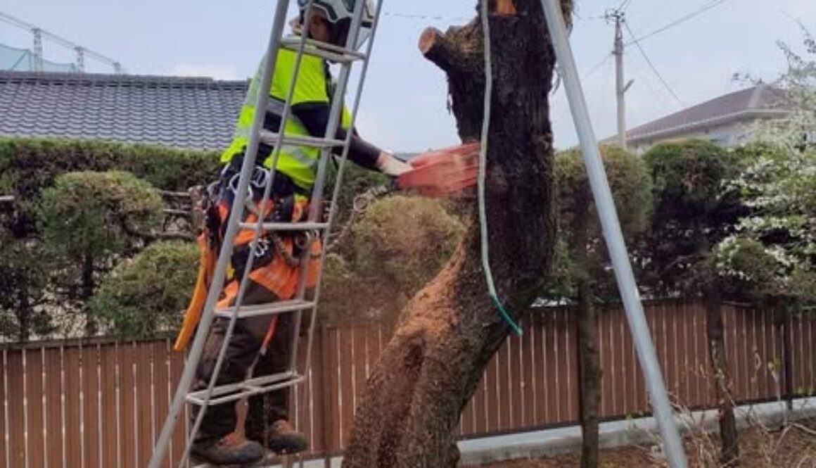 486806320_1114953040432272_6837525241014655198_n