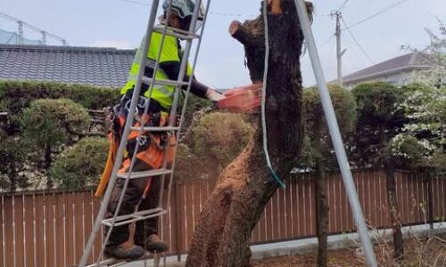 486806320_1114953040432272_6837525241014655198_n