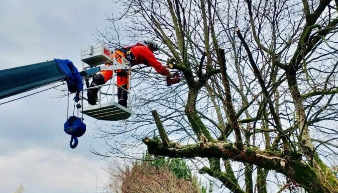 487174591_1118090156785227_2351195801505167611_n