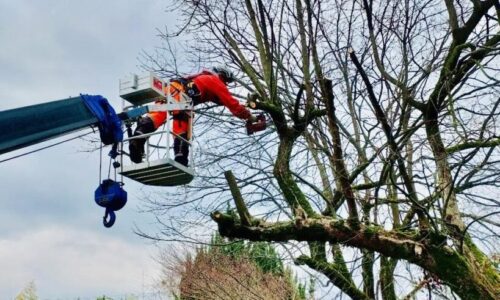 487174591_1118090156785227_2351195801505167611_n