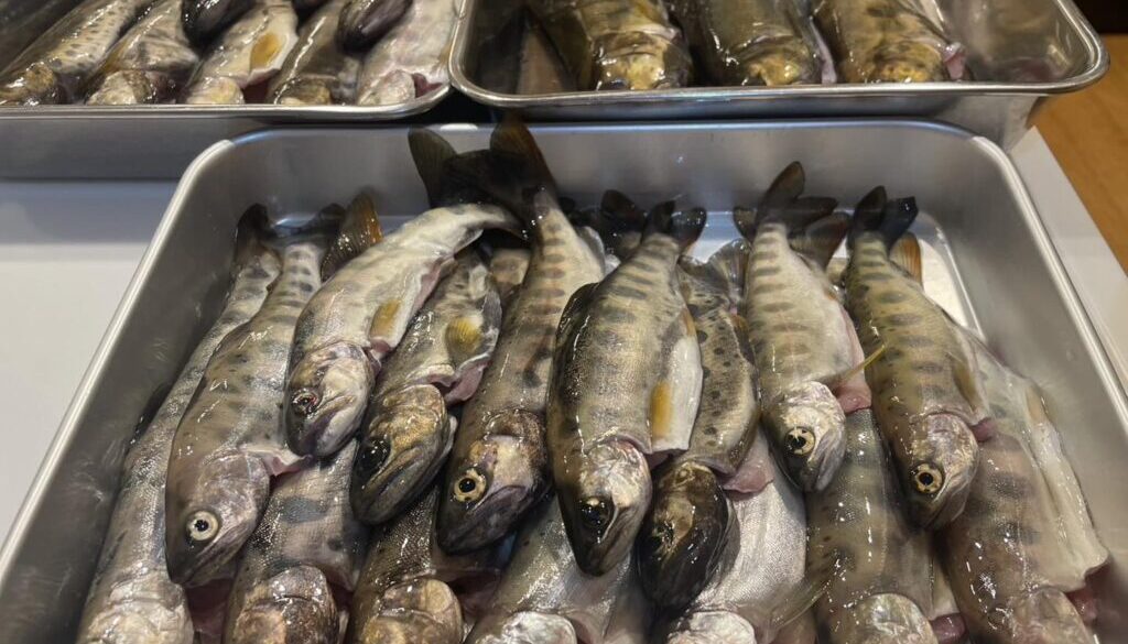 487446841_1117909196803323_8412662783783337553_n