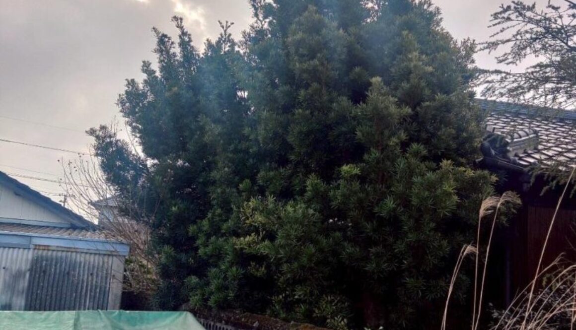 488187323_1119809676613275_2647568489624483571_n