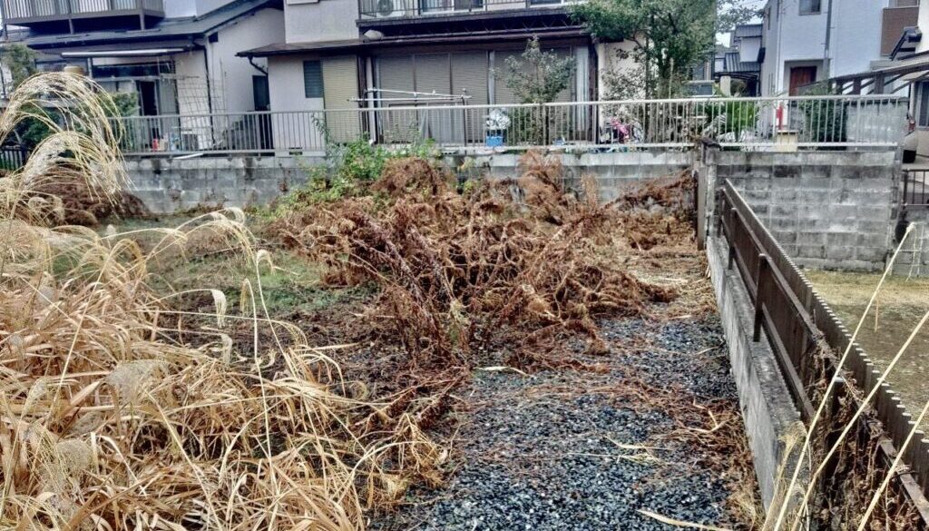 488713717_1120475639880012_2107566070874261691_n 488713717_1120475639880012_2107566070874261691_n