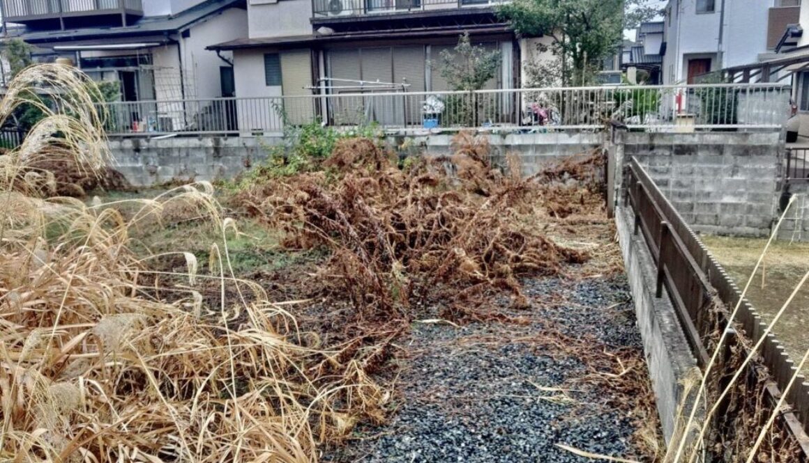 488713717_1120475639880012_2107566070874261691_n