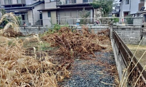 488713717_1120475639880012_2107566070874261691_n