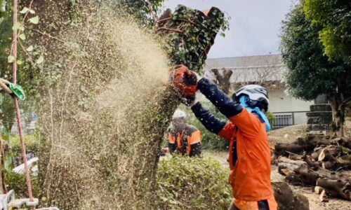 488791161_1120467629880813_1152808762353903582_n