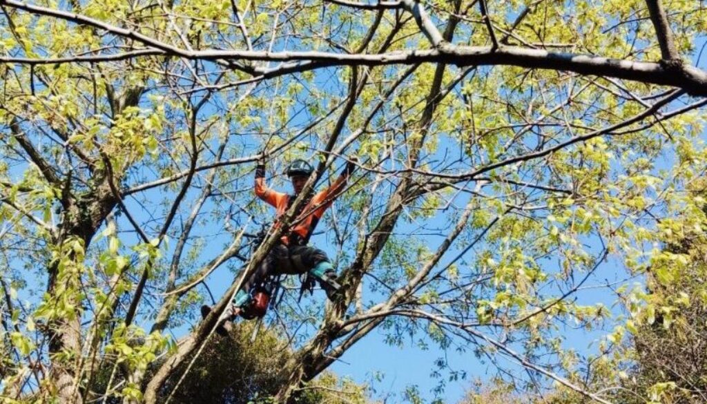 489062893_1125363766057866_4917683156692369455_n 489062893_1125363766057866_4917683156692369455_n