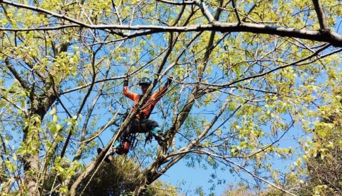 489062893_1125363766057866_4917683156692369455_n