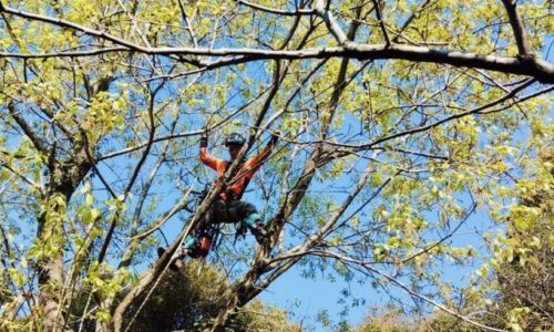 489062893_1125363766057866_4917683156692369455_n