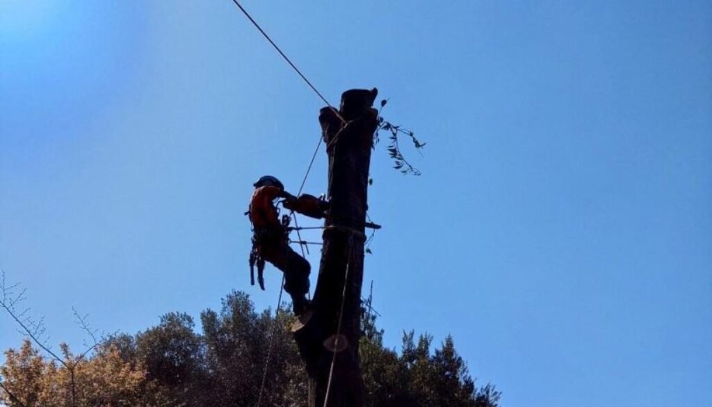 489086618_1123849619542614_6577728301148735529_n 489086618_1123849619542614_6577728301148735529_n