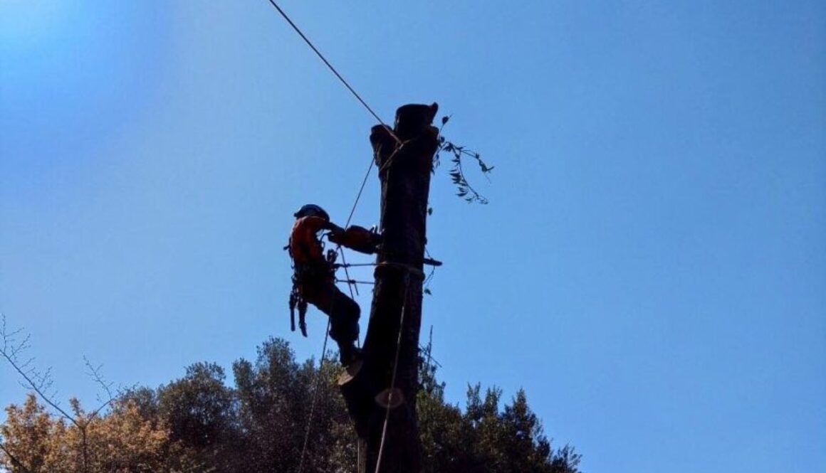 489086618_1123849619542614_6577728301148735529_n