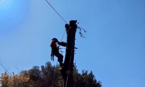 489086618_1123849619542614_6577728301148735529_n