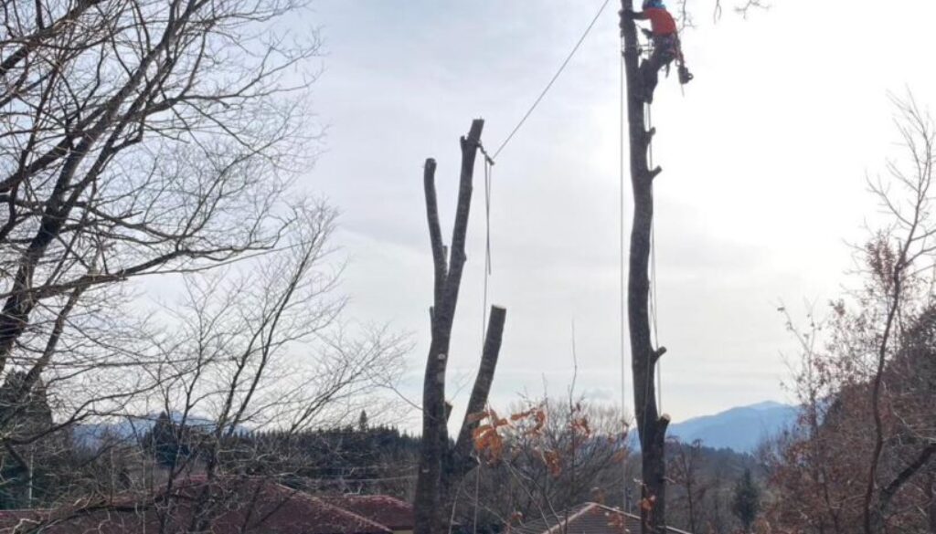 489180877_1124119886182254_9093383625992429584_n 489180877_1124119886182254_9093383625992429584_n