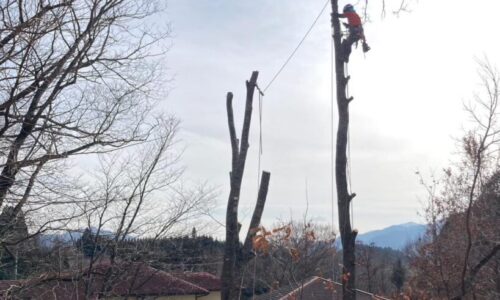 489180877_1124119886182254_9093383625992429584_n