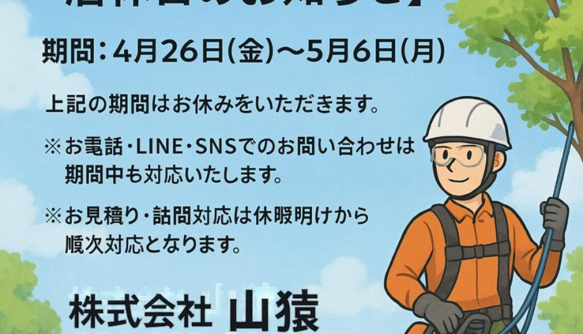 489964319_1126716422589267_6955794481847917044_n