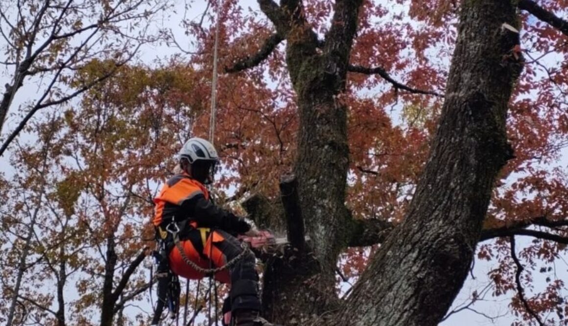 490138939_18296417374169122_1453961127373215624_n