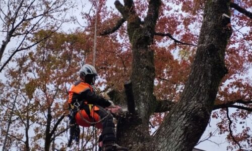 490138939_18296417374169122_1453961127373215624_n