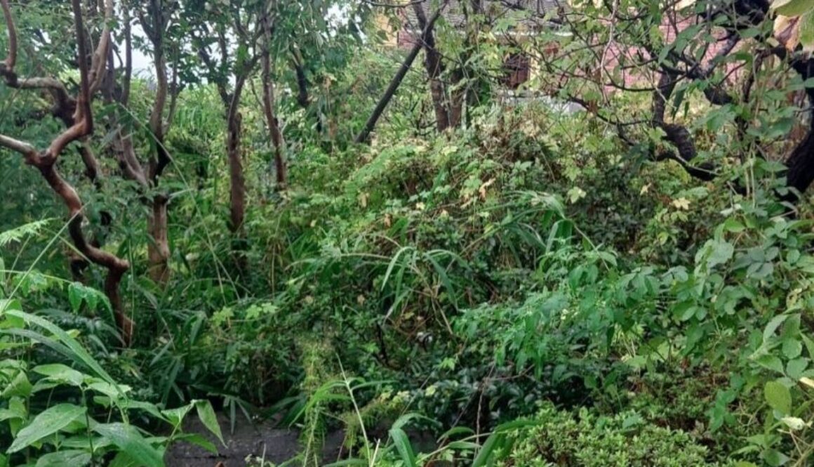 490193059_18296805379169122_4830889649801531080_n 490193059_18296805379169122_4830889649801531080_n