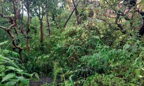 490193059_18296805379169122_4830889649801531080_n