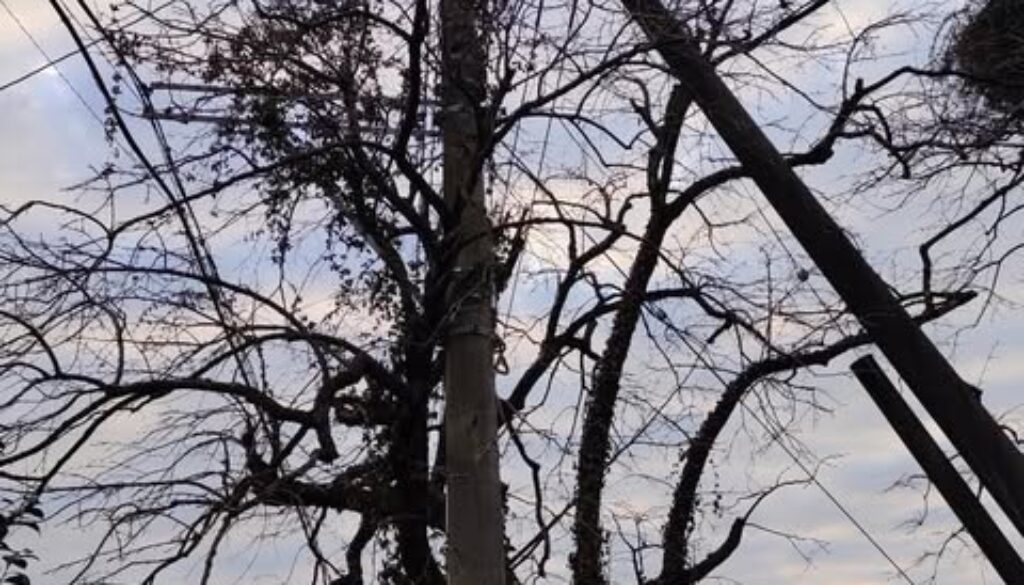 491399056_1129945012266408_7267048092368201732_n 491399056_1129945012266408_7267048092368201732_n