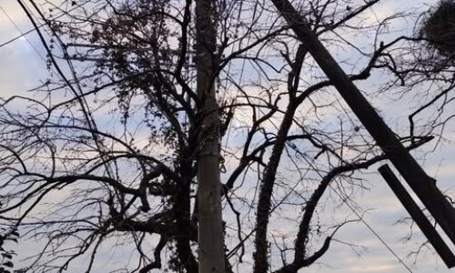 491399056_1129945012266408_7267048092368201732_n